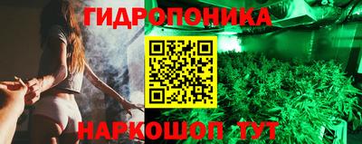 крисы Гусь-Хрустальный