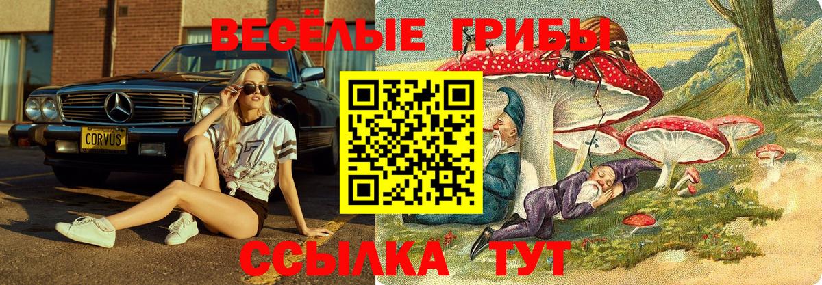 Галлюциногенные грибы мухоморы  Псилоцибиновые грибы мицелий  Нижневартовск  Вход с VPN 